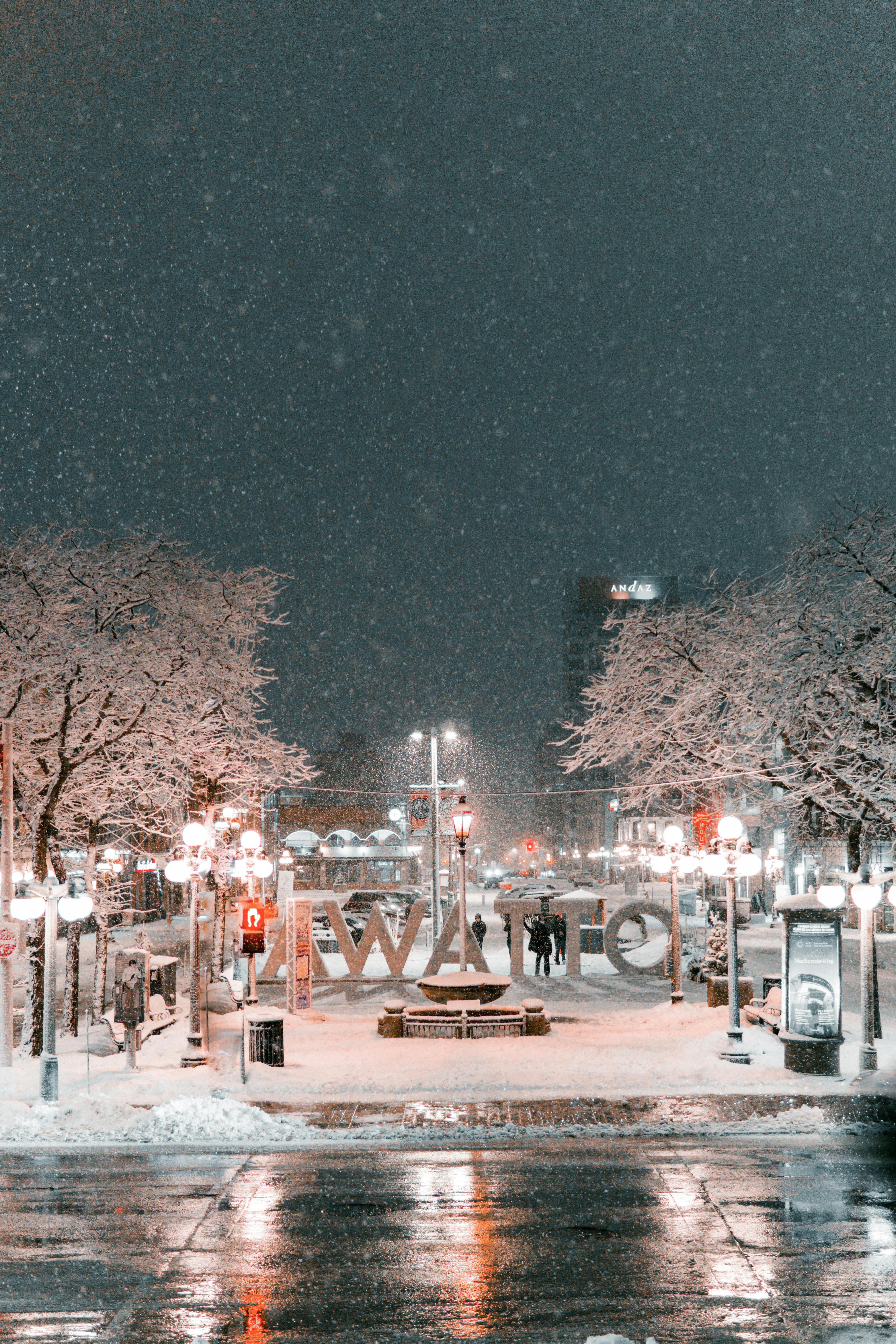Ottawa at night during winter and snow