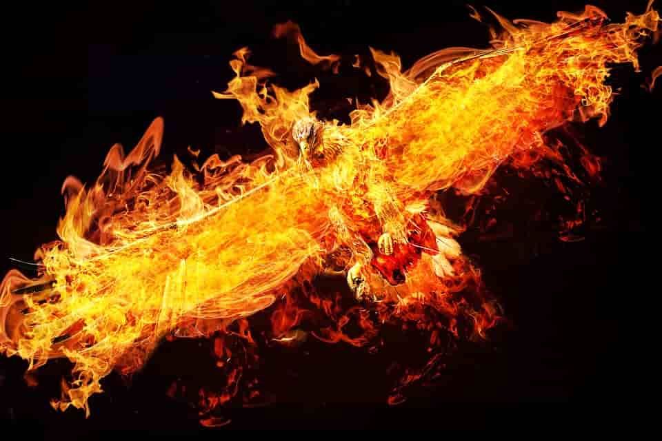 phoenix in fire